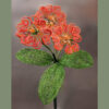 Beaded Primrose
