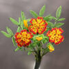 Beaded Marigold
