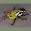 Beaded Beetle 2
